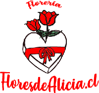 Foto o Logo